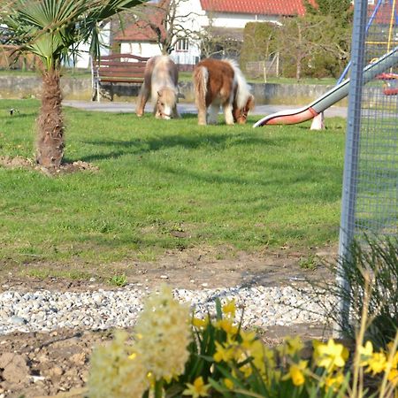 Hotel - Restaurant Hirschen - Werneths Landgasthof Beim Europa- Park Rust Rheinhausen Exteriér fotografie